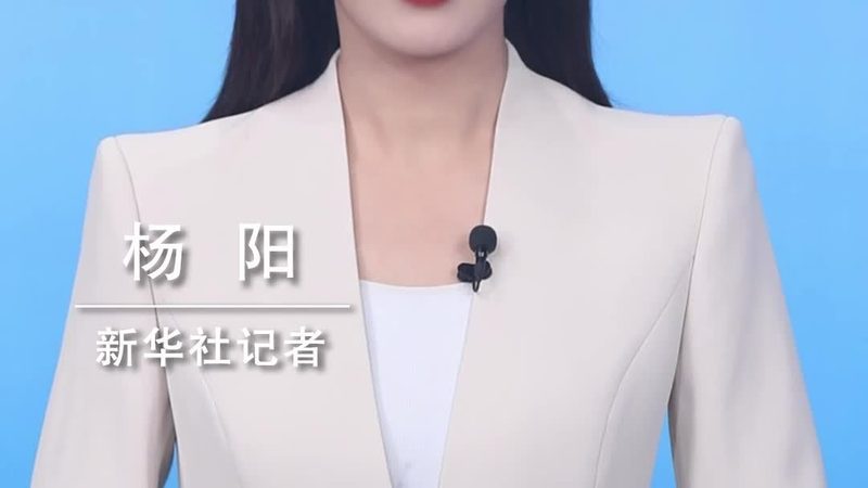 企业IT采购中的技术供应商评估盲区
